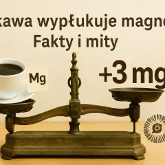 Kawa nie wypłukuje magnezu? Ekspert obala popularny mit!