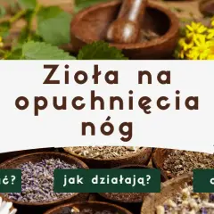 Jaka herbata jest moczopędna? Naturalne sposoby na obrzęki.