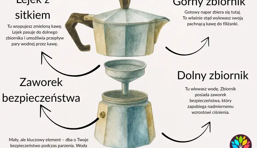 Kawa z kawiarki: zdrowa czy nie? Fakty i porady eksperta.