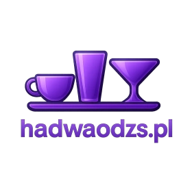hadwaodzs.pl